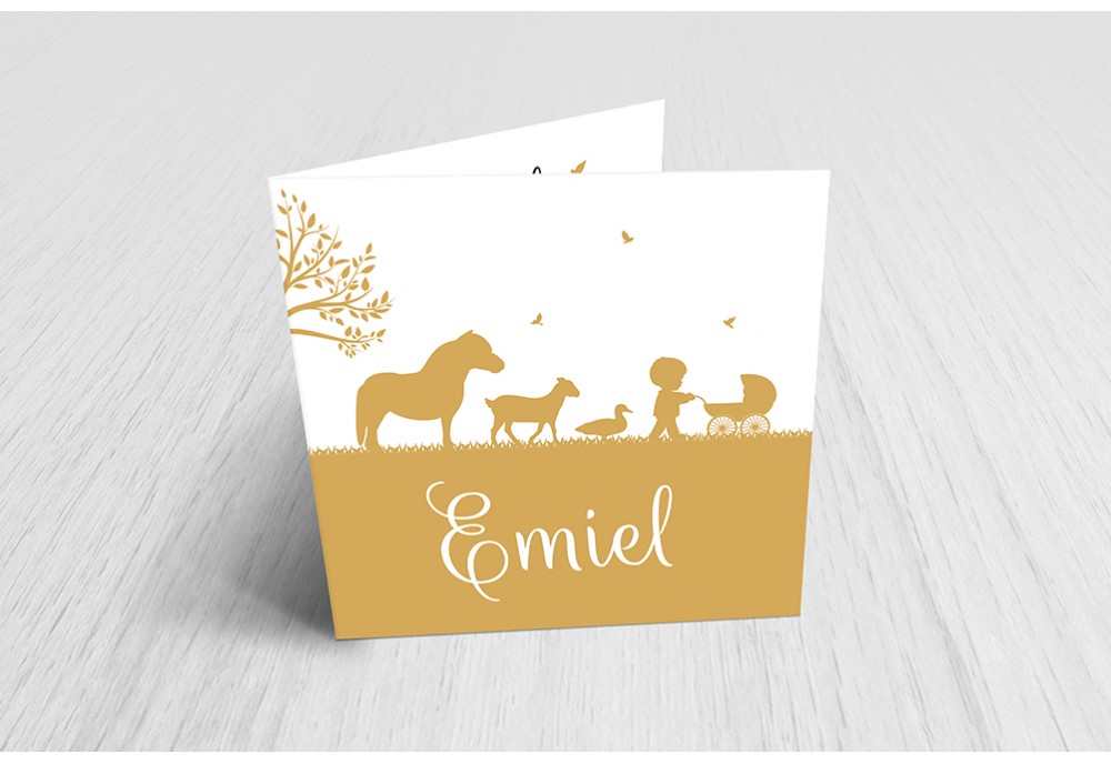 Jongen met kinderwagen